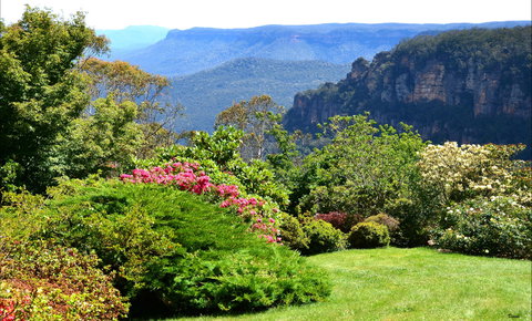 Leura Gardens Festival - Cancelled - Go Out 1