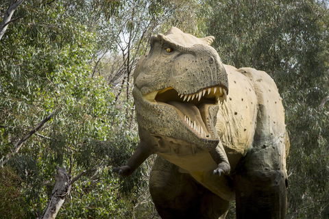 Lost Sanctuary At Healesville Sanctuary - Pubs and Clubs 2