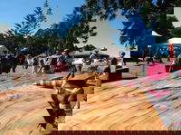 Maleny Wood Expo From Seed to Fine Furniture