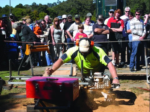 Maleny Wood Expo: From Seed To Fine Furniture - Pubs and Clubs 2