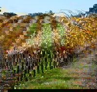 Miners Ridge Wine Tasting - Pubs and Clubs