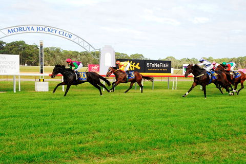 Moruya Cup - Go Out 2