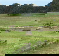 Mount Gambier and District Pony Club Horse Trials 2020 - Go Out