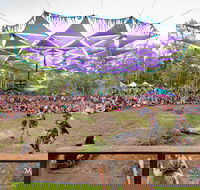 Mushroom Valley Festival - Go Out