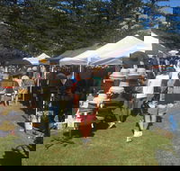 Palm Beach Market - Pubs and Clubs