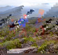 Peaks and Trails Run - Pubs and Clubs