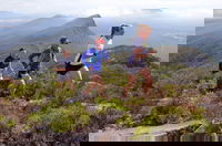 Peaks and Trails Run