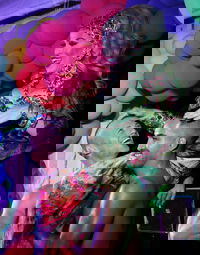 Port Douglas Hot and Steamy Festival