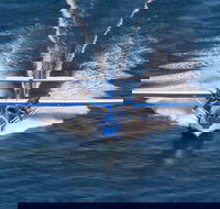 Rathmines Catalina Festival - Pubs and Clubs