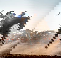 Rodeo by the Sea - Streaky Bay - Go Out