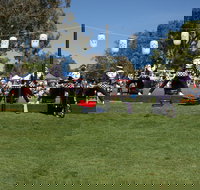 Sakura Matsuri  - Cherry Blossom Festival - in doubt due to Covid-19 - Pubs and Clubs