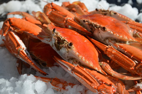 Seafood On Spencer - Go Out 1