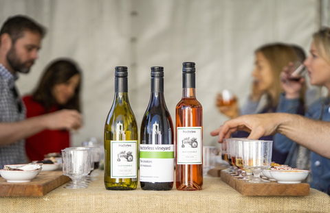 Southern Highlands Food And Wine Festival - Pubs and Clubs 2