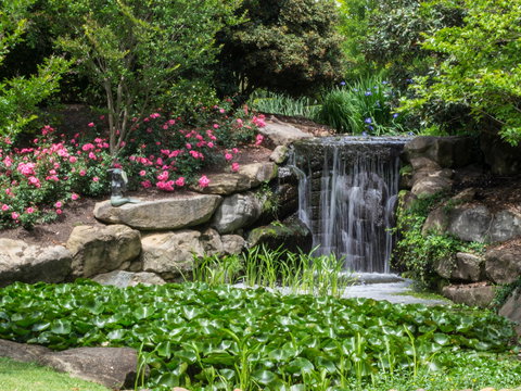 Spring Time At Hunter Valley Gardens - Go Out 1