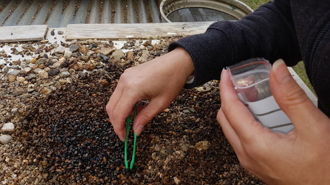 The Minerama Fossicking, Gem And Jewellery Show - Go Out 1