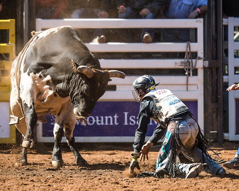 The 2020 Virtual Mount Isa Mines Rodeo - Pubs and Clubs 2