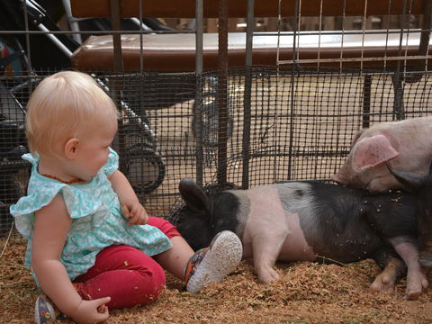 The Gunnedah Show - Pubs and Clubs 1