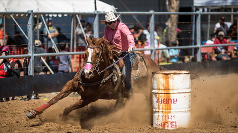 The Gulf Country Frontier Days Festival - Pubs and Clubs 2