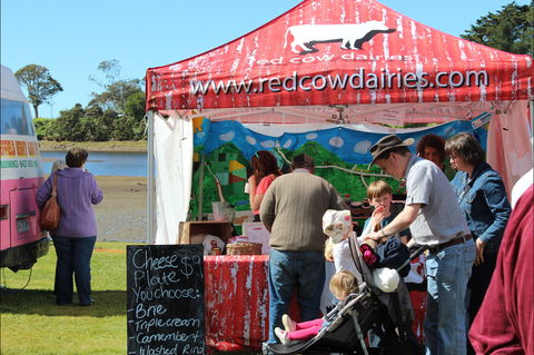 Tulip Festival Wynyard - Go Out 1
