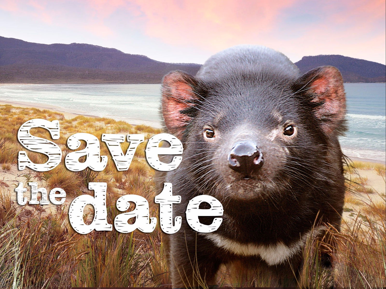 Tunbridge TAS Pubs and Clubs