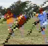 Veterans Touch Footy Carnival - Pubs and Clubs