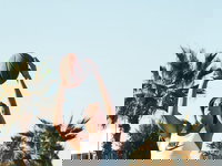 Wagga Social Netball