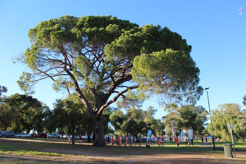 Wagga Parkrun - Go Out 1