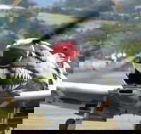 Wings Over Illawarra - Pubs and Clubs