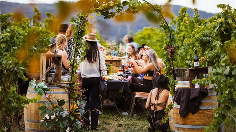 Wine Machine - NEW DATE - Pubs and Clubs 1