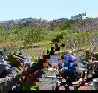 Yoga in the Vines - Go Out
