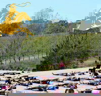 Yoga in the Vines - Go Out