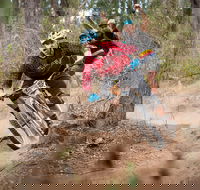 Fox Superflow sealed by Stan's Race  Greenvalleys - Pubs and Clubs