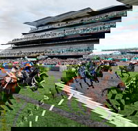 The Everest - Pubs and Clubs