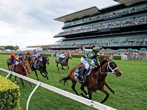 The Everest - Go Out 0