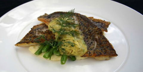 Aquarius Seafood Restaurant - Go Out 2