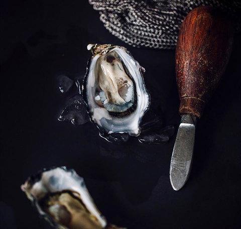 Coriander Thai Cuisine - Go Out 4