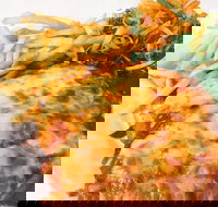 The Water Rat Hotel - Go Out