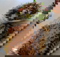 Bite Me Grill  Burger Bar - Go Out