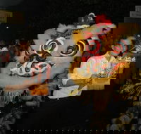 Lion Dance - Pubs and Clubs