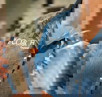 The Coach - Pubs and Clubs