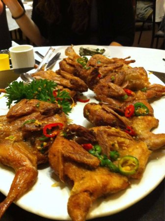 Chrysanthemum House - Go Out 0