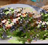 Food for All Seasons - Go Out