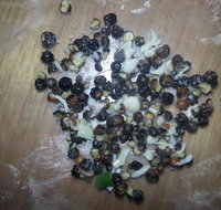 Riviera Pizza - Pubs and Clubs