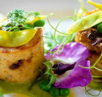 Fork to Fork - Go Out