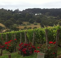 Paringa Estate - Pubs and Clubs