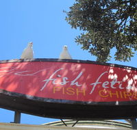 Fish Fetish - Pubs and Clubs