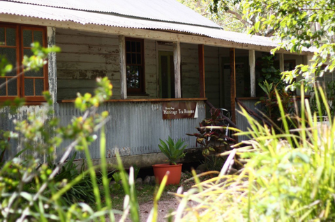 Herveys Range Heritage Tea Rooms - Go Out 12