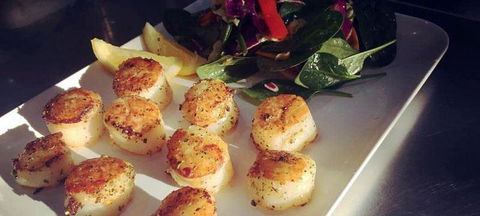 The Paddock Bakery - Pubs and Clubs 0