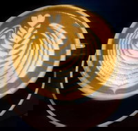 The Spirited Goat - Go Out