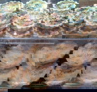 Red Fox Coffee Lounge - Go Out